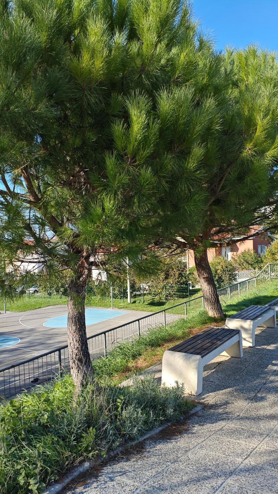 Apartments Tomisic Koper Exterior foto